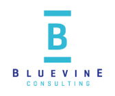 Bluevine Consulting